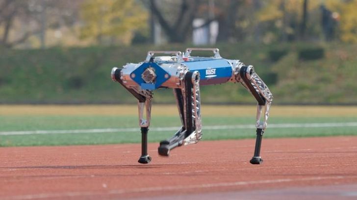 AI Robot from KAIST Breaks 100-Meter World Record